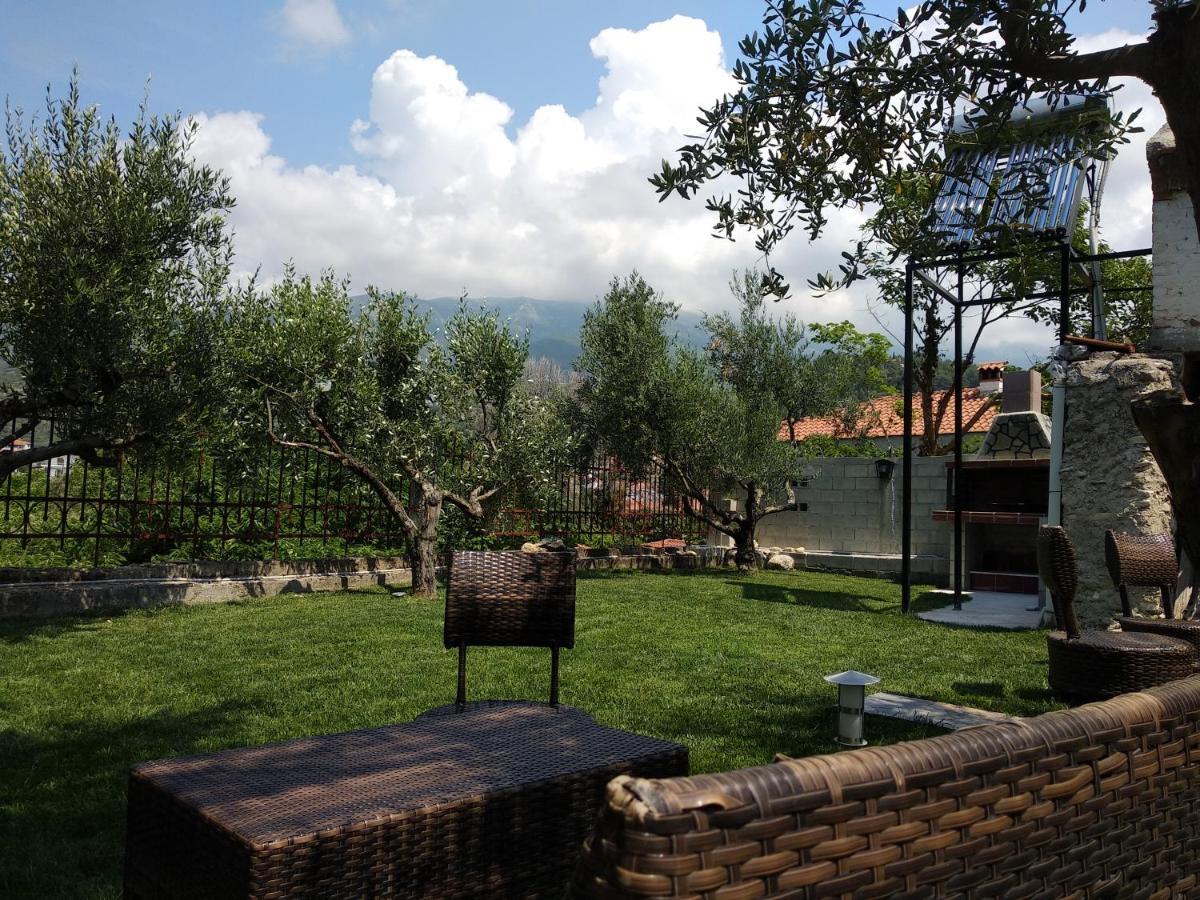 Villa Agnanti Apts And Suites Agio Pnevma Dış mekan fotoğraf