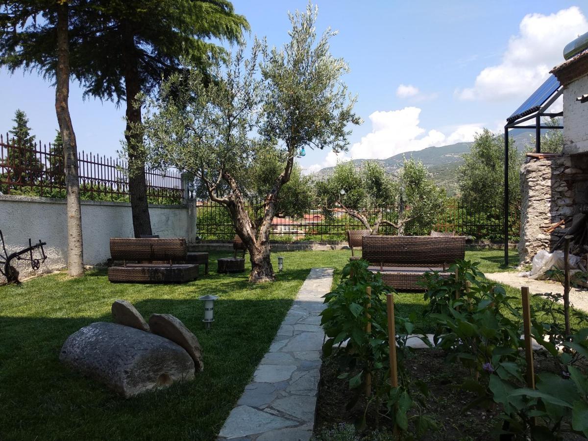 Villa Agnanti Apts And Suites Agio Pnevma Dış mekan fotoğraf